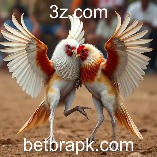 Jogos de Sabong: Uma Tradição Cultural e um Mercado Crescente